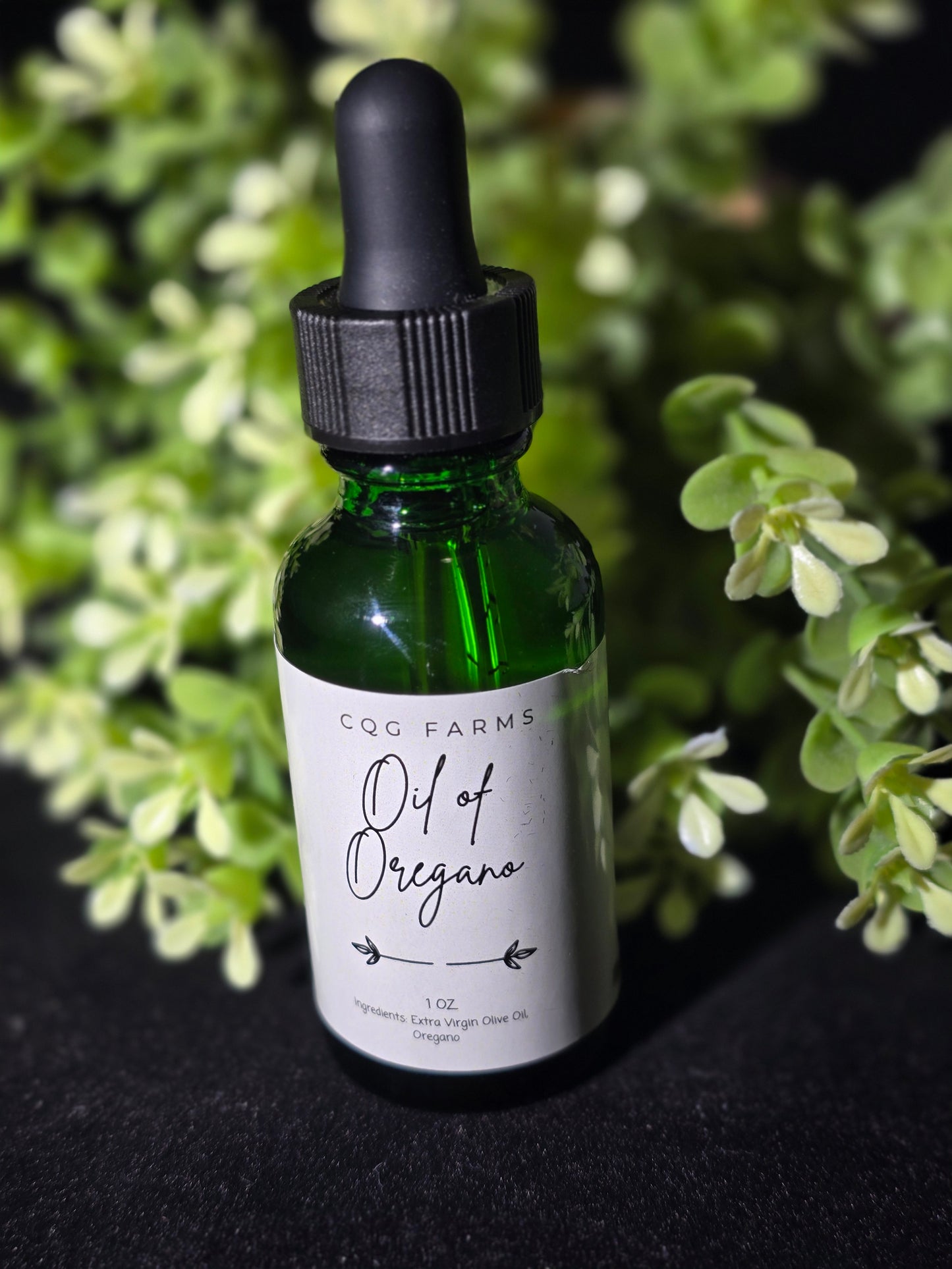Oil of Oregano